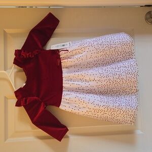 NWT Gorgeous toddler dress